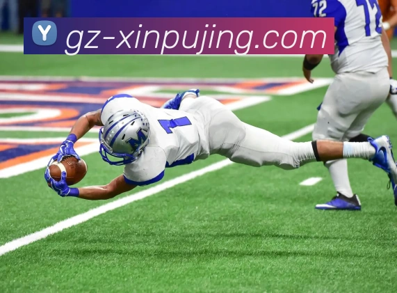 新葡京娱乐发展历程